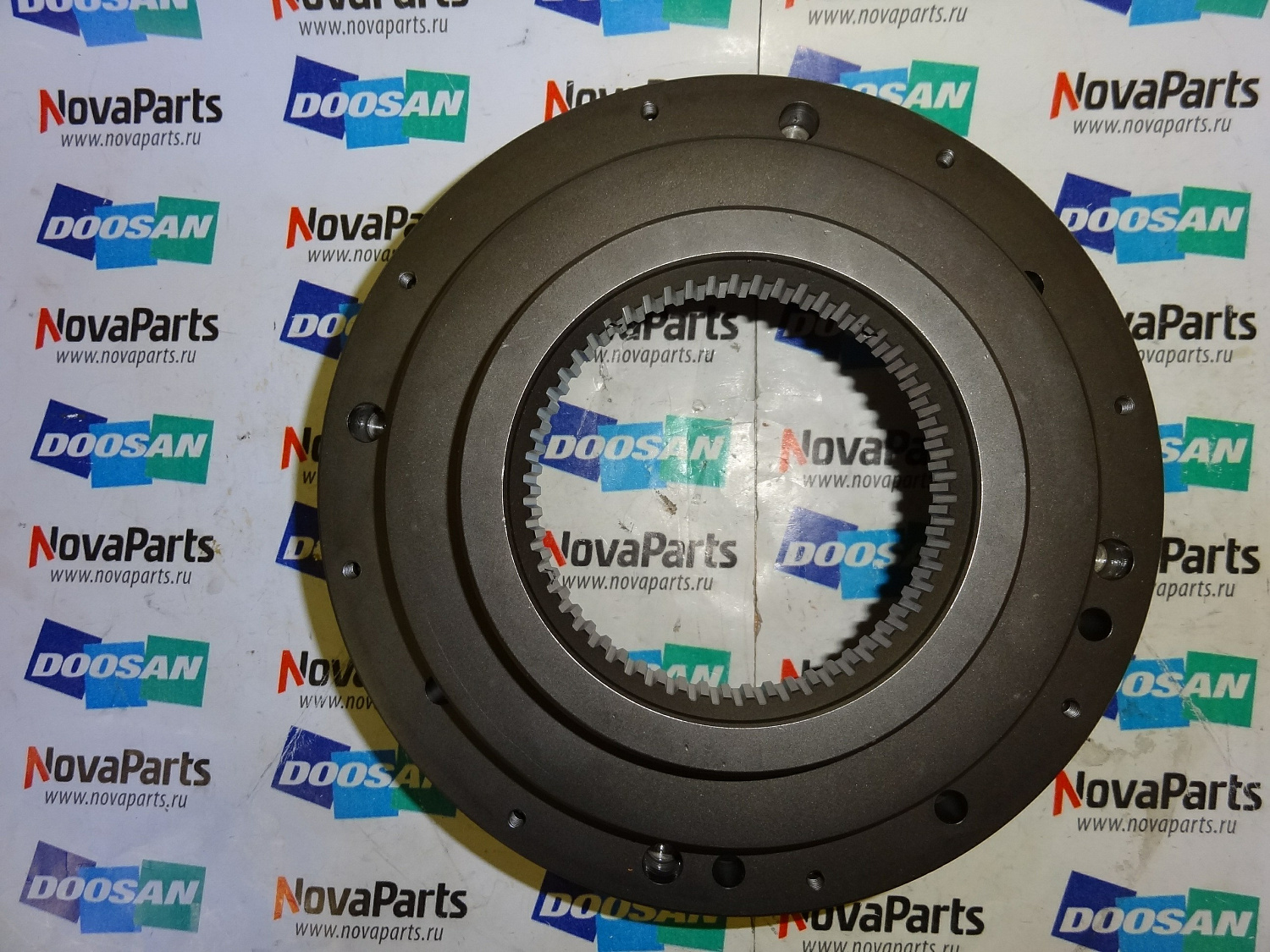 shesternya-K9004167(8)