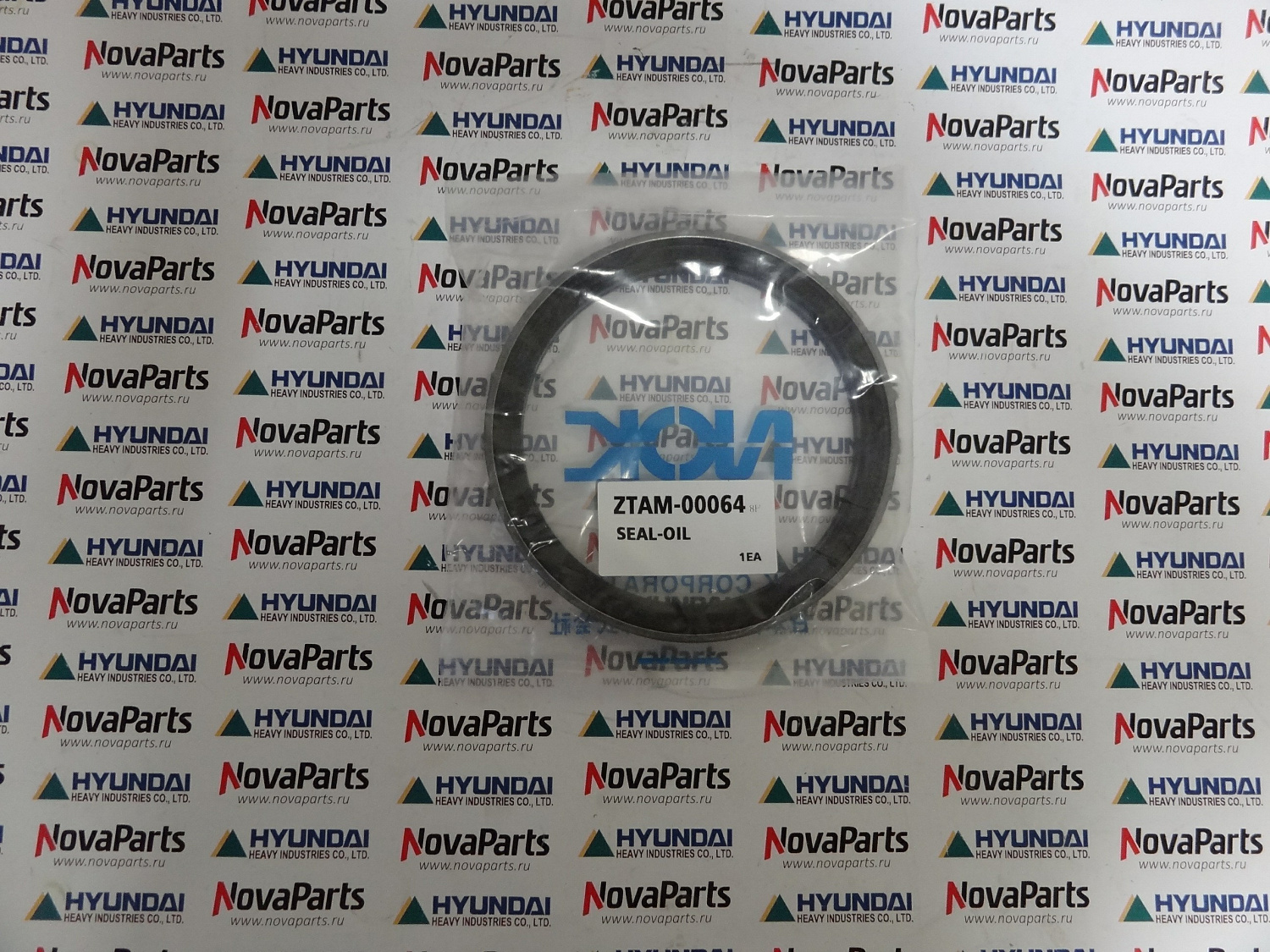 salnik-ztam-00064 (4)