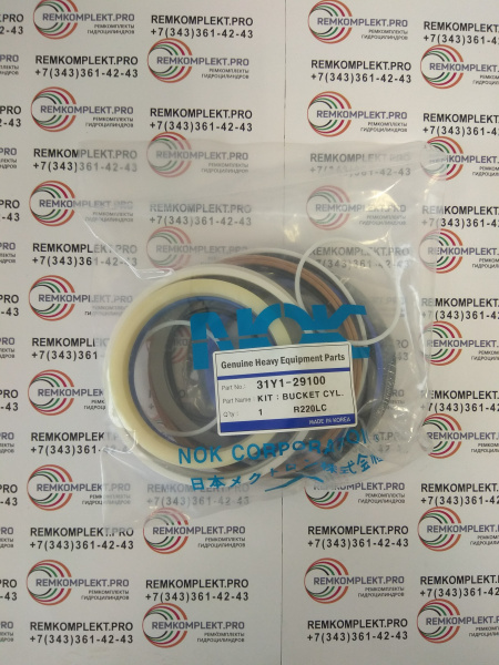 31Y1-29100