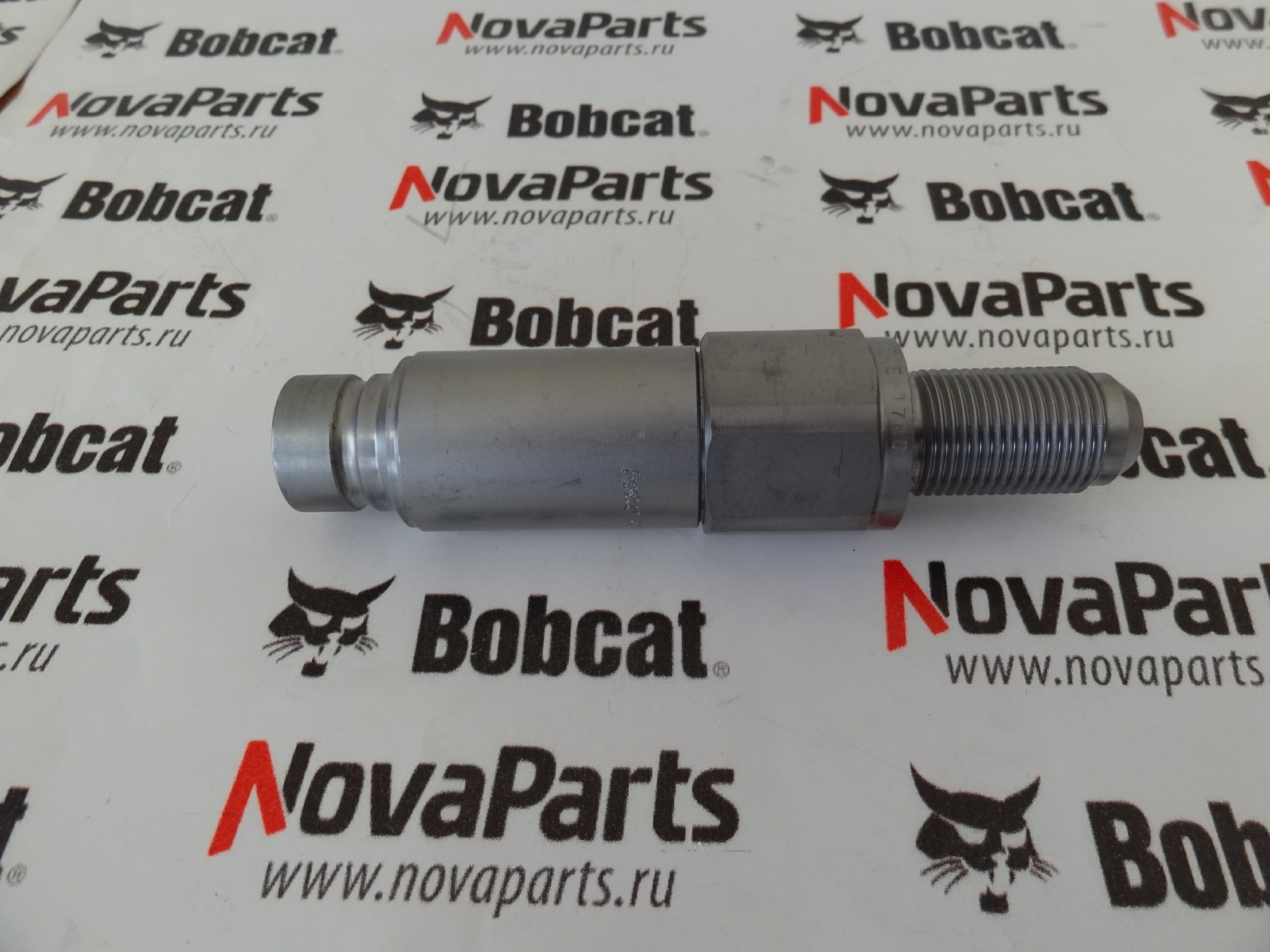 brs-papa-7246780,6676444 (3)