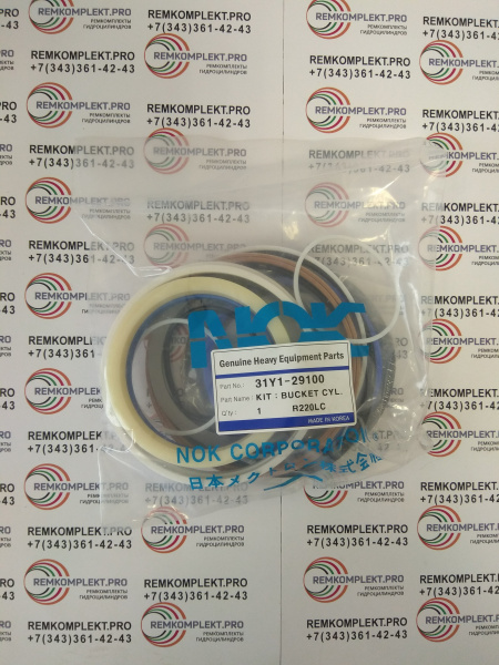 31Y1-29100 (4)