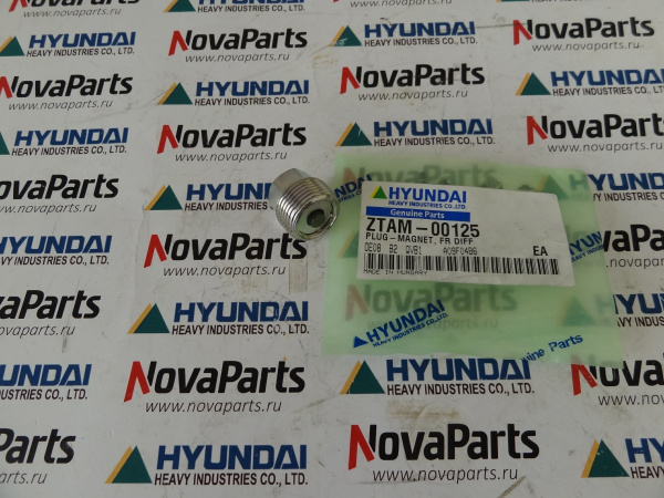 819.01.610.01  2.181-00385 Пробка магнитная(2)