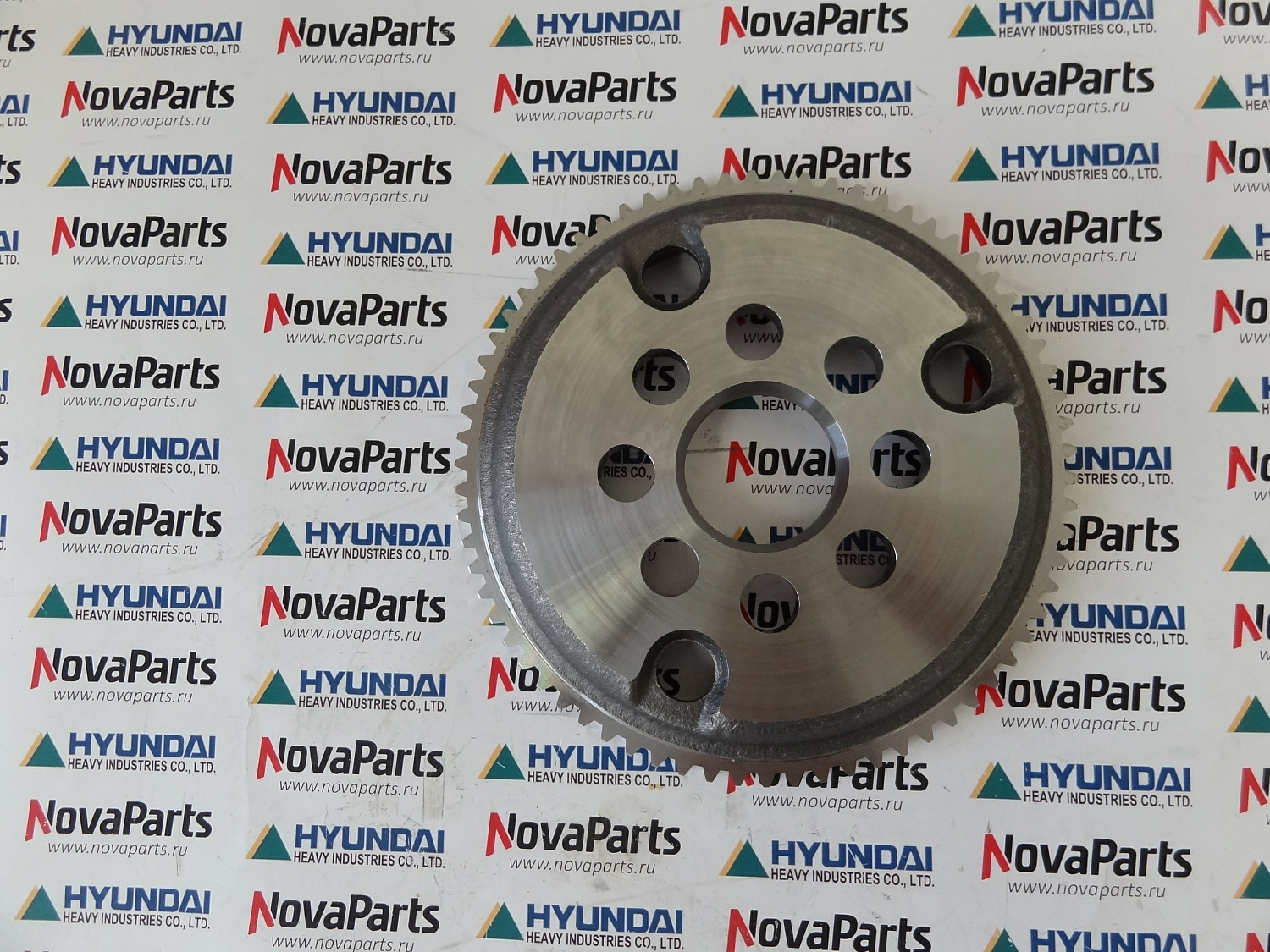 shesternya-solnechnaya-ztam-00070