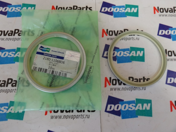 2180-1106bd14-ds5502014-pylnik