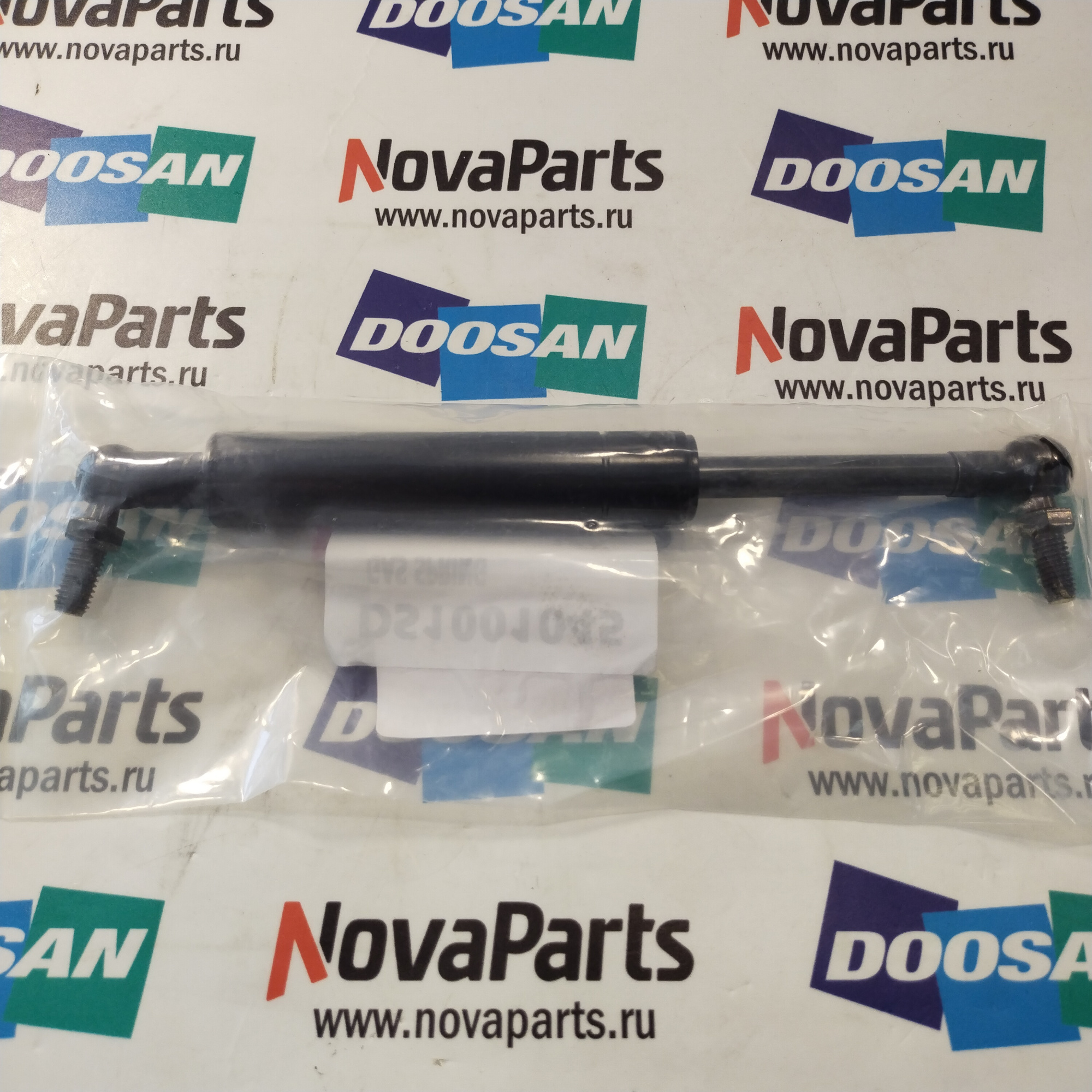 DS1001045 (2)