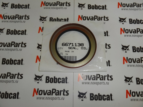 salnik-bobkeht-6671138