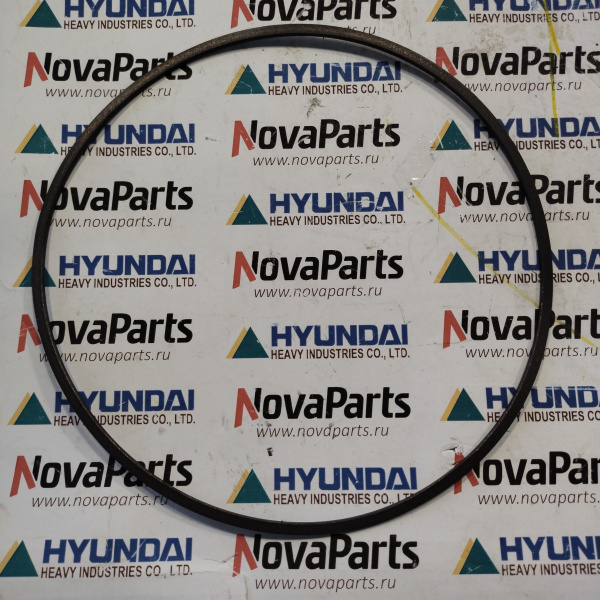 ZGAQ-02923 Кольцо