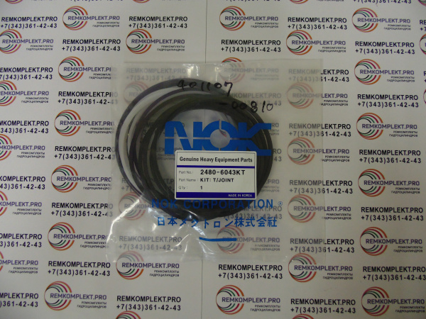 2480-6043KT 401107-00810