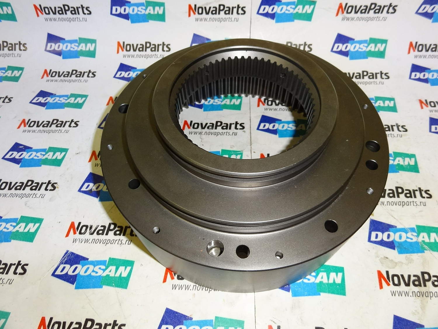 shesternya-K9004167(9)