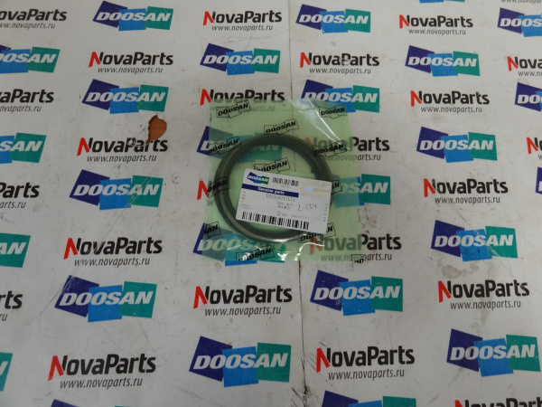 Pyl'nik DS5501031 (4)