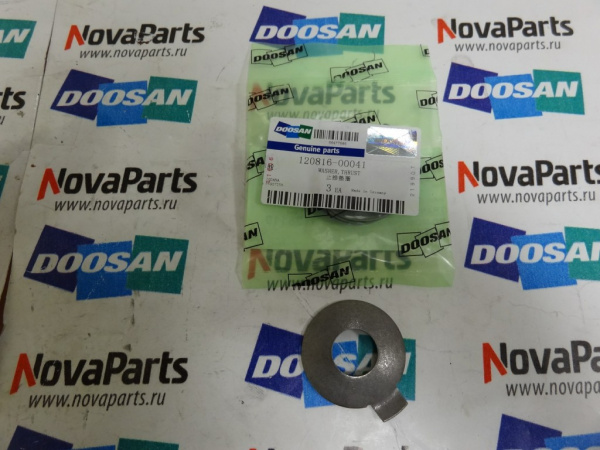 shajba-120816-00041 (5)