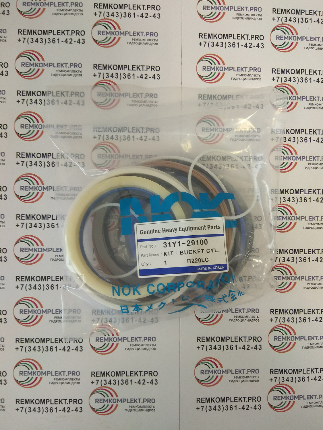 31Y1-29100 (3)