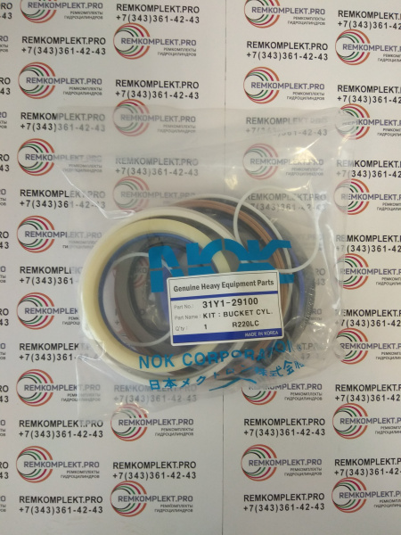 31Y1-29100 (3)