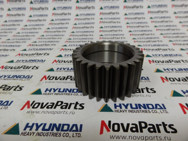 shesternya-satelit-zgaq-01364