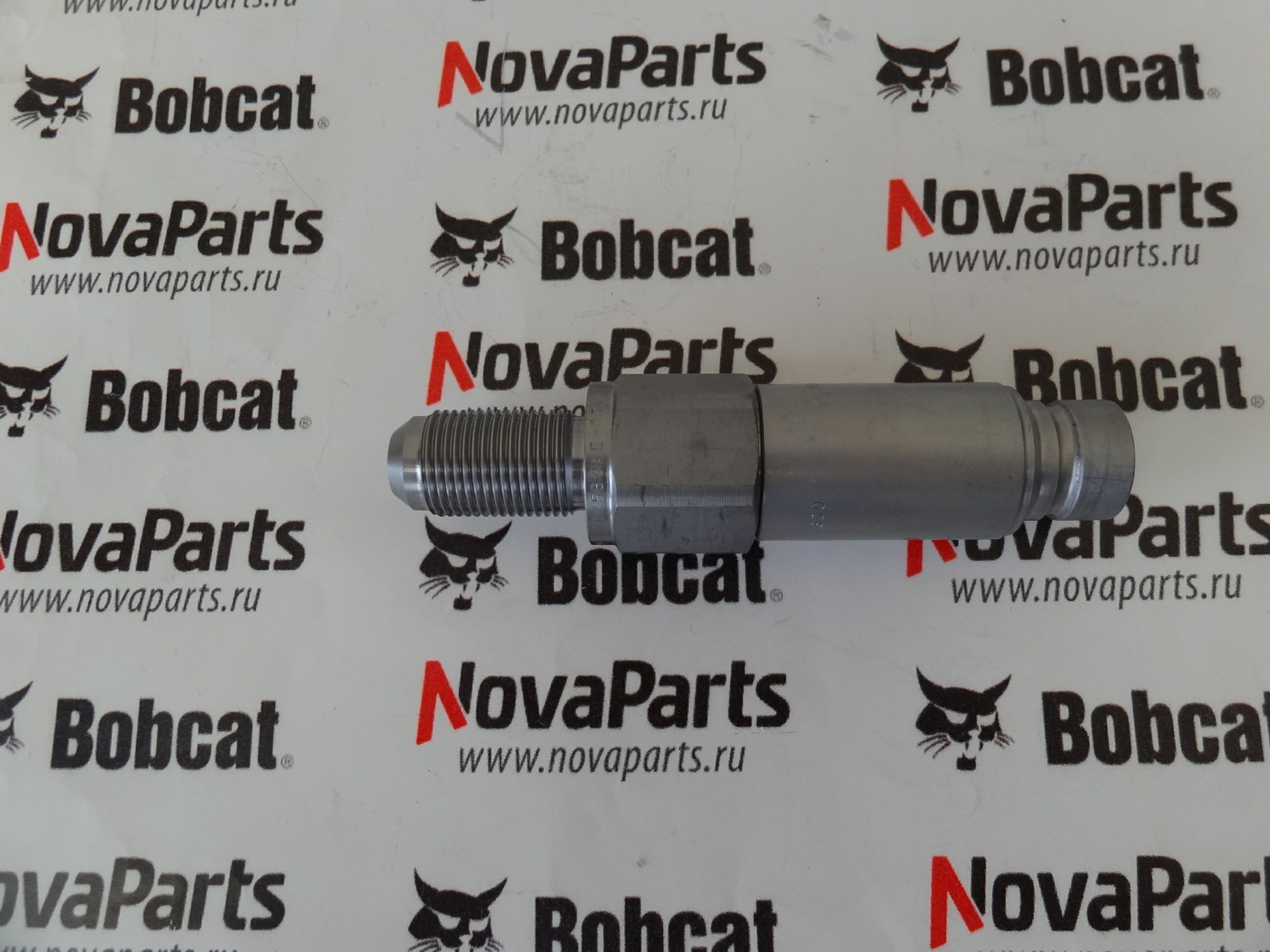 brs-papa-7246780,6676444 (5)