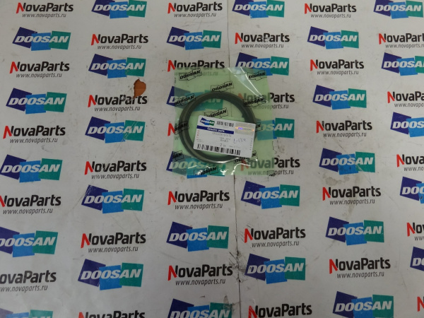 Pyl'nik DS5501031 (3)