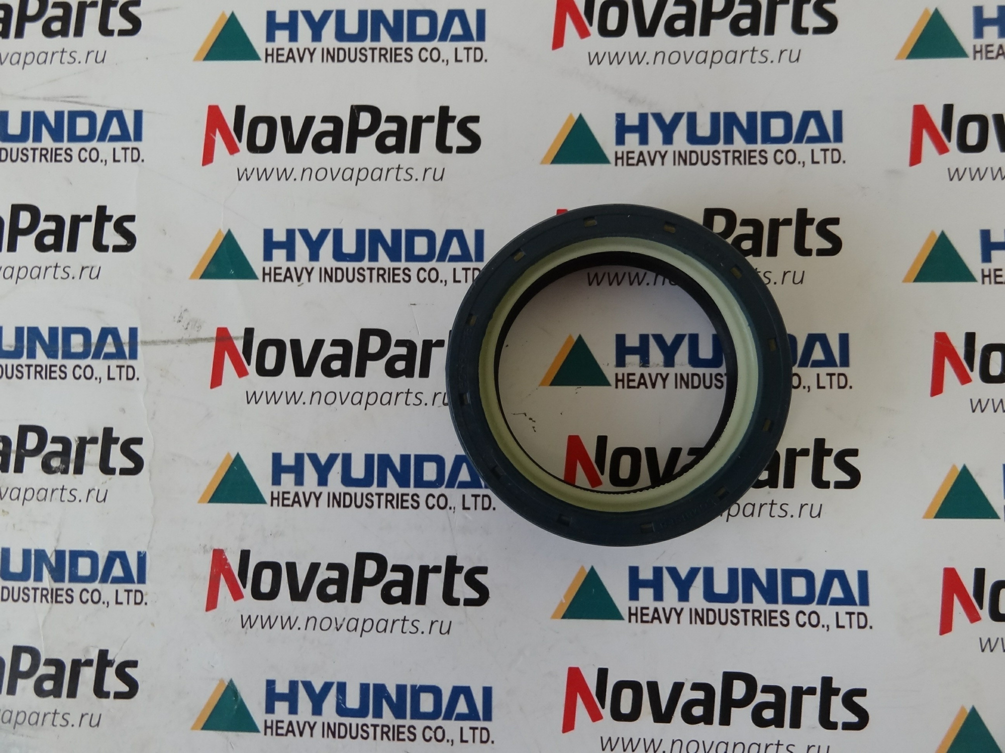 salnik-ZTAM-00062(2)