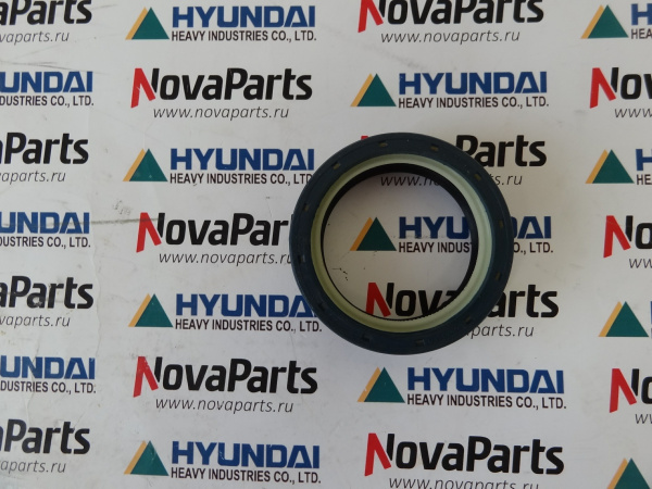 salnik-ZTAM-00062(2)