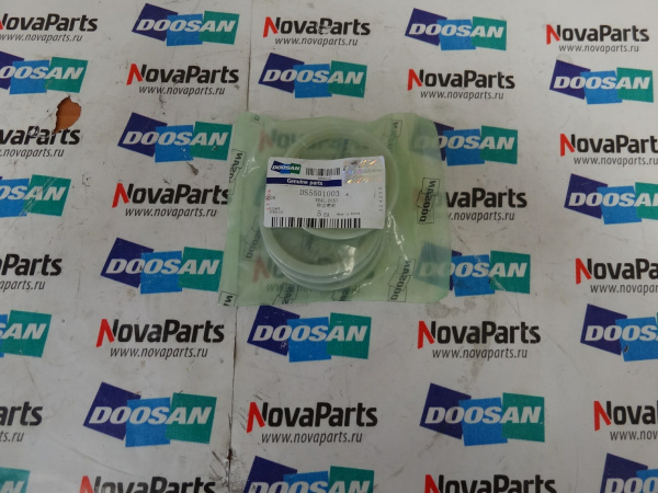 Pyl'nik DS5501003 (3)