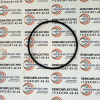 ZGAQ-02209 Кольцо WYS (2)