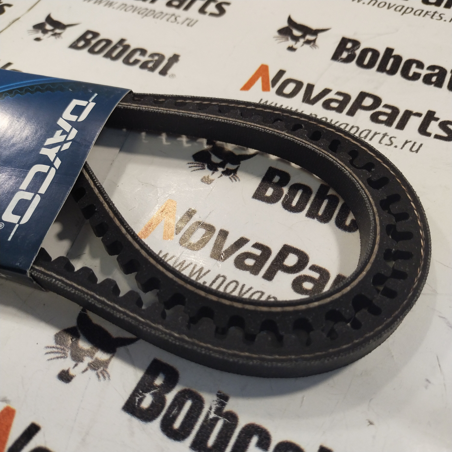 10A1090C (DAYCO) (2)