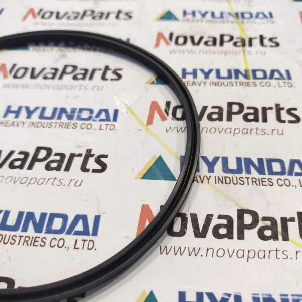 ZGAQ-02924 Кольцо (3)